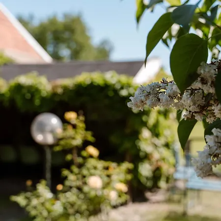 Crash'nstay - Julianalaan Holiday home Waalwijk