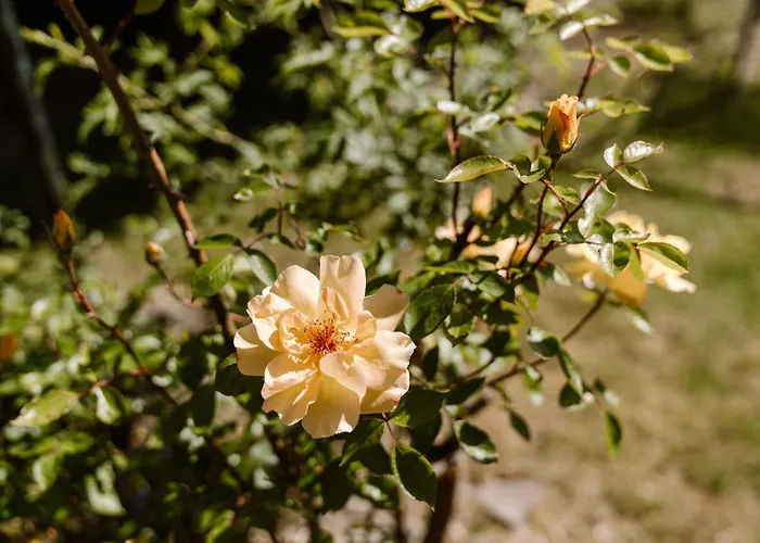 Crash'nstay - Julianalaan Σπίτι διακοπών