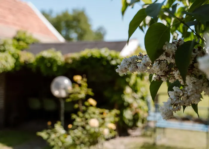 Crash'nstay - Julianalaan בית נופש ואלוייק